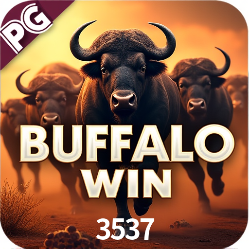 Flash Promotion 3537